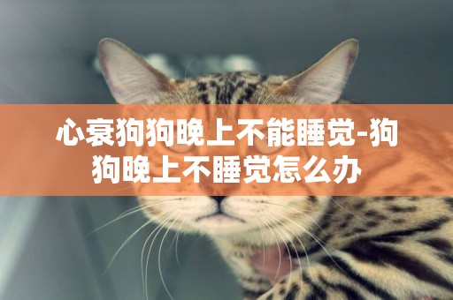 心衰狗狗晚上不能睡覺-狗狗晚上不睡覺怎么辦