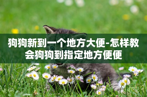 狗狗新到一個地方大便-怎樣教會狗狗到指定地方便便