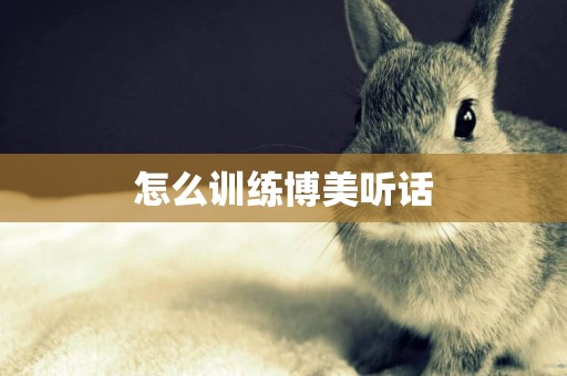 怎么訓練博美聽話