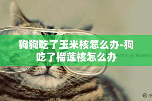 狗狗吃了玉米核怎么辦-狗吃了榴蓮核怎么辦