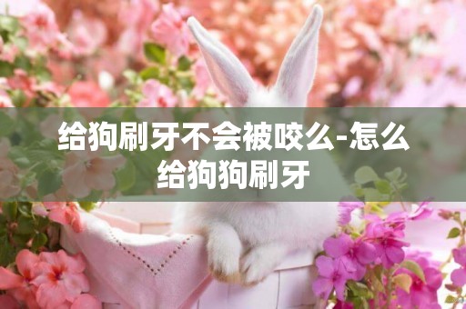 給狗刷牙不會被咬么-怎么給狗狗刷牙