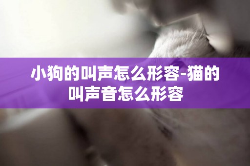小狗的叫聲怎么形容-貓的叫聲音怎么形容