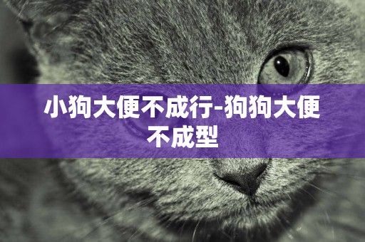 小狗大便不成行-狗狗大便不成型