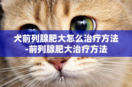 犬前列腺肥大怎么治療方法-前列腺肥大治療方法