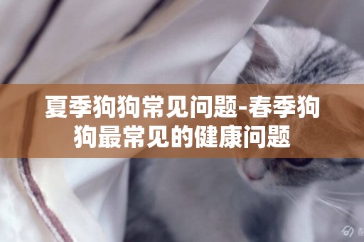 夏季狗狗常見問題-春季狗狗最常見的健康問題