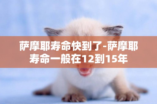 薩摩耶壽命快到了-薩摩耶壽命一般在12到15年