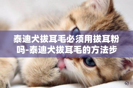泰迪犬拔耳毛必須用拔耳粉嗎-泰迪犬拔耳毛的方法步驟