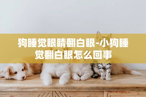 狗睡覺眼睛翻白眼-小狗睡覺翻白眼怎么回事
