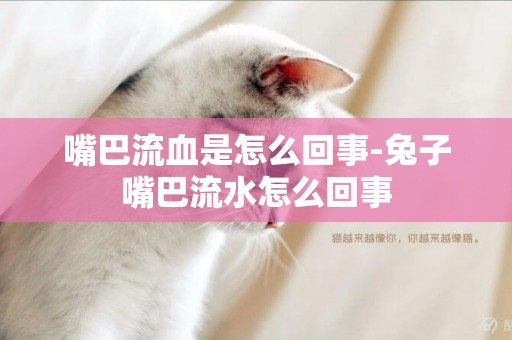嘴巴流血是怎么回事-兔子嘴巴流水怎么回事