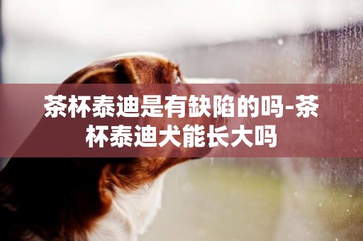 茶杯泰迪是有缺陷的嗎-茶杯泰迪犬能長大嗎