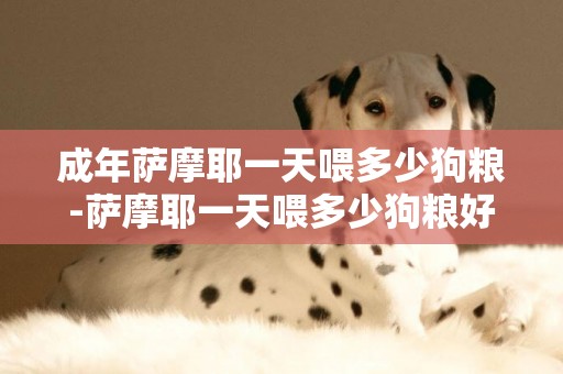 成年薩摩耶一天喂多少狗糧-薩摩耶一天喂多少狗糧好