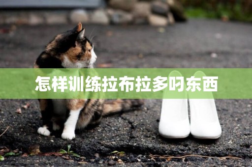 怎樣訓練拉布拉多叼東西