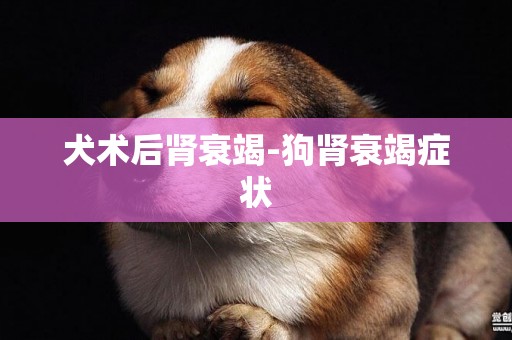 犬術后腎衰竭-狗腎衰竭癥狀