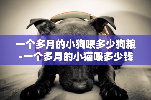 一個多月的小狗喂多少狗糧-一個多月的小貓喂多少錢