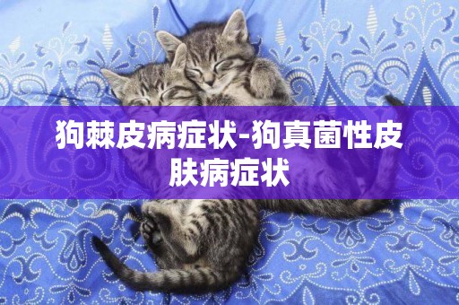 狗棘皮病癥狀-狗真菌性皮膚病癥狀