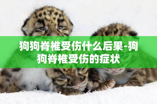 狗狗脊椎受傷什么后果-狗狗脊椎受傷的癥狀