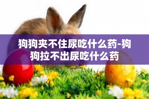 狗狗夾不住尿吃什么藥-狗狗拉不出尿吃什么藥
