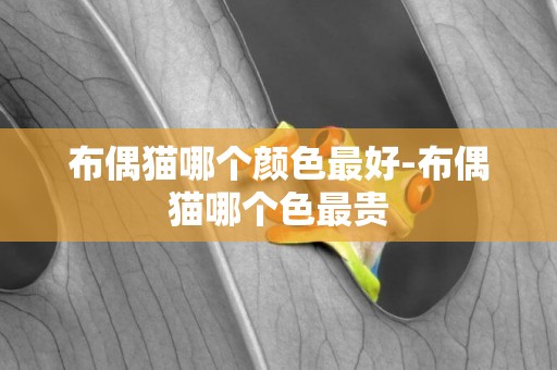 布偶貓哪個顏色最好-布偶貓哪個色最貴