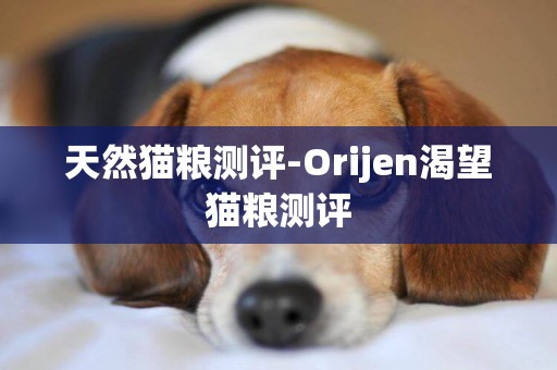 天然貓糧測評-Orijen渴望貓糧測評