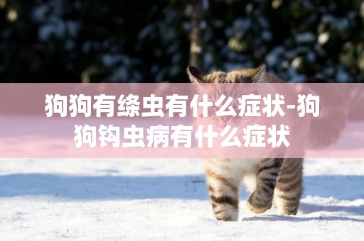 狗狗有絳蟲有什么癥狀-狗狗鉤蟲病有什么癥狀