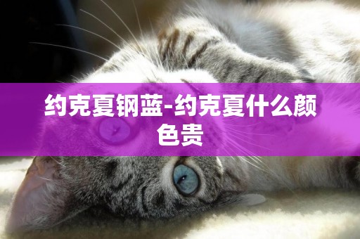 約克夏鋼藍-約克夏什么顏色貴