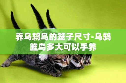 養烏鶇鳥的籠子尺寸-烏鶇雛鳥多大可以手養