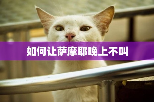 如何讓薩摩耶晚上不叫