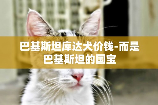 巴基斯坦庫達犬價錢-而是巴基斯坦的國寶