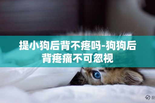 提小狗后背不疼嗎-狗狗后背疼痛不可忽視