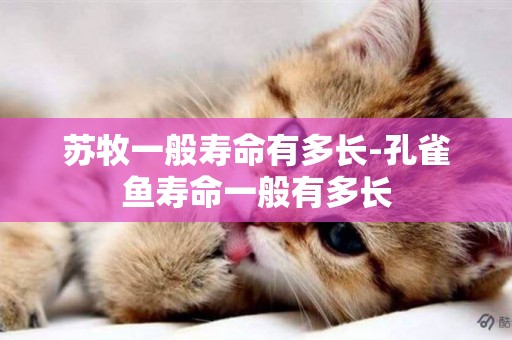 蘇牧一般壽命有多長-孔雀魚壽命一般有多長