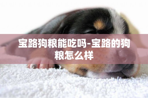 寶路狗糧能吃嗎-寶路的狗糧怎么樣