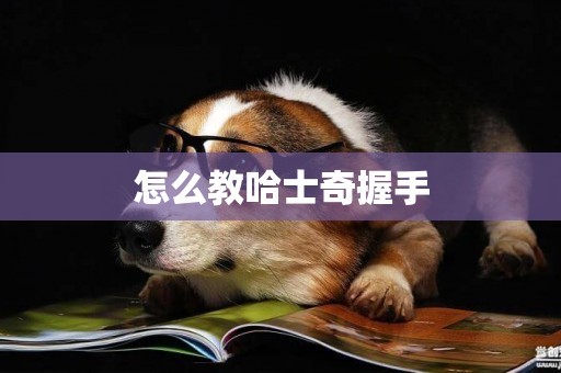 怎么教哈士奇握手
