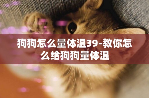 狗狗怎么量體溫39-教你怎么給狗狗量體溫