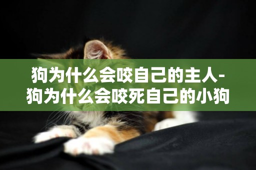 狗為什么會咬自己的主人-狗為什么會咬死自己的小狗