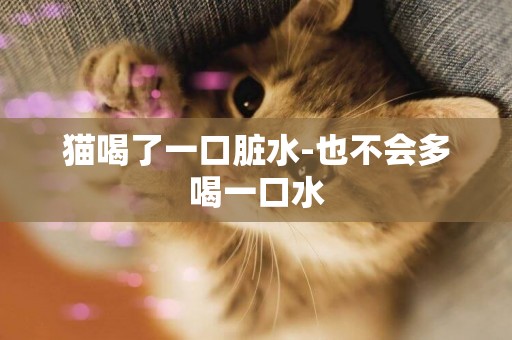 貓喝了一口臟水-也不會多喝一口水