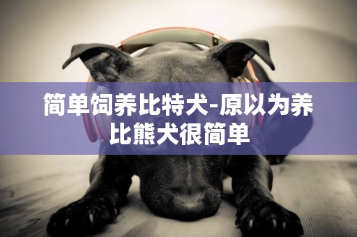 簡單飼養比特犬-原以為養比熊犬很簡單