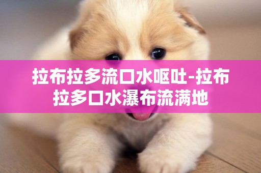 拉布拉多流口水嘔吐-拉布拉多口水瀑布流滿地