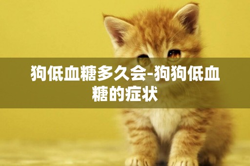 狗低血糖多久會-狗狗低血糖的癥狀