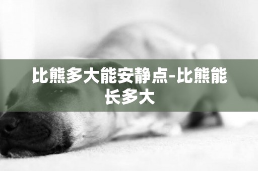 比熊多大能安靜點-比熊能長多大