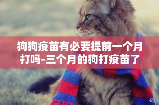 狗狗疫苗有必要提前一個月打嗎-三個月的狗打疫苗了咬人有事嗎