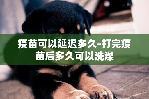 疫苗可以延遲多久-打完疫苗后多久可以洗澡