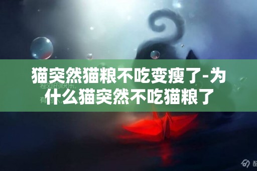 貓突然貓糧不吃變瘦了-為什么貓突然不吃貓糧了