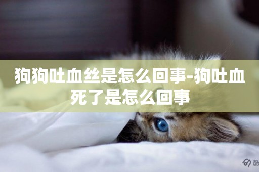 狗狗吐血絲是怎么回事-狗吐血死了是怎么回事