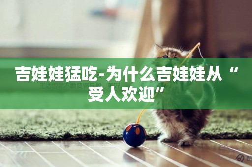 吉娃娃猛吃-為什么吉娃娃從“受人歡迎”