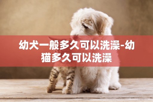 幼犬一般多久可以洗澡-幼貓多久可以洗澡