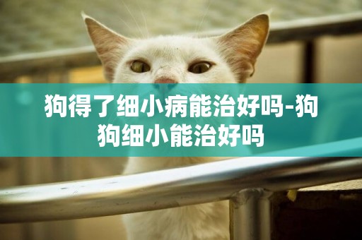 狗得了細小病能治好嗎-狗狗細小能治好嗎