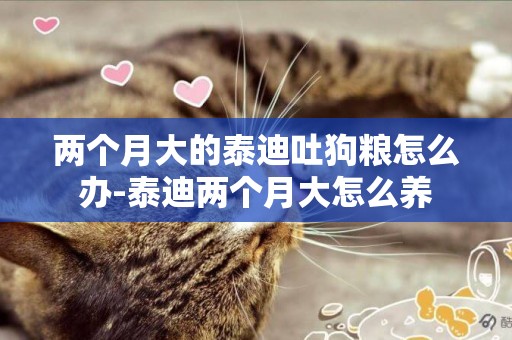 兩個月大的泰迪吐狗糧怎么辦-泰迪兩個月大怎么養