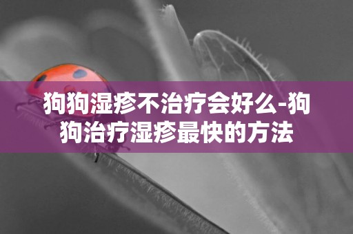 狗狗濕疹不治療會好么-狗狗治療濕疹最快的方法
