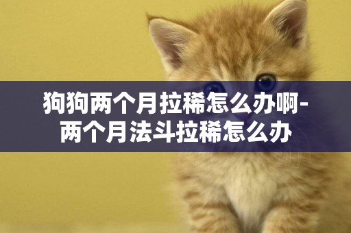 狗狗兩個月拉稀怎么辦啊-兩個月法斗拉稀怎么辦