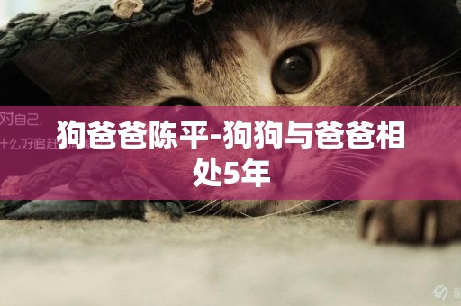 狗爸爸陳平-狗狗與爸爸相處5年